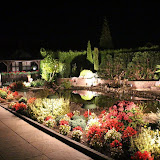 146.JPG