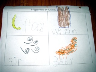 [img_7421%255B4%255D.jpg]