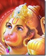 [Shri Hanuman]