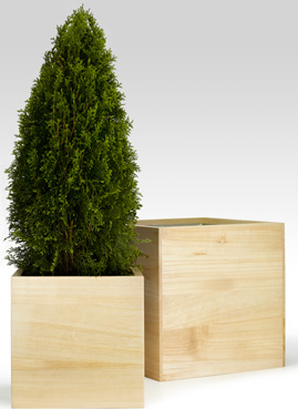 Wooden planters can often look cheap, but these blonde kiri wood boxed planters are very chic and streamlined. (jamaligarden.com) Wooden planters can often look cheap, but these blonde kiri wood boxed planters are very chic and streamlined. (jamaligarden.com)