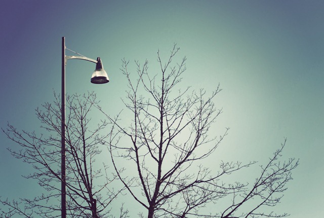 [Sometimes%2520people%2520change%252C%2520now%2520I%2527m%2520a%2520lamp%255B3%255D.jpg]