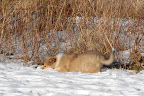 _DSC0047.JPG