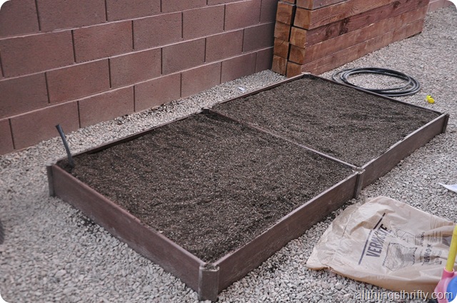 garden grow boxes garden grow boxes