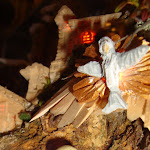 1465-6.JPG