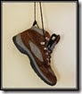 The dropped shoe The dropped shoe
