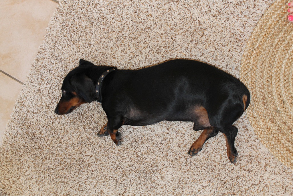 [new%2520house%2520055%255B3%255D.jpg]