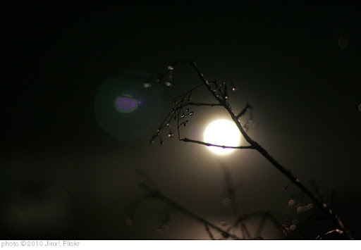 'Moon Over Bourbon Street' photo (c) 2010, Jinx! - license: http://creativecommons.org/licenses/by/2.0/