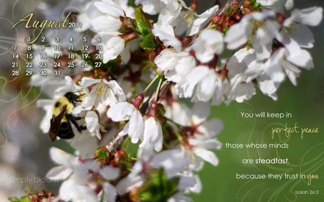 [AugustWallpaperS3.jpg]