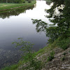 dsc03722.jpg
