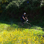 PC256198.JPG