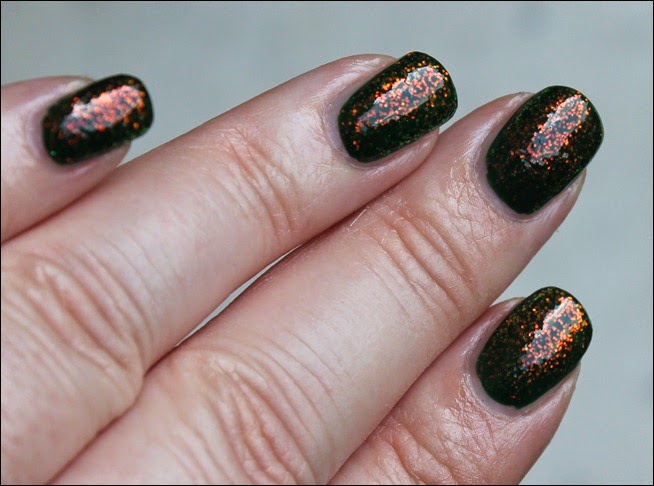 Bunt Kleancolor Chunky Holo Clover 4