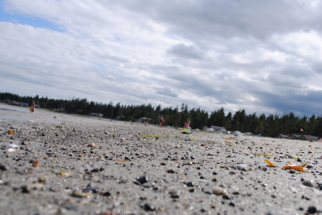 [DSC_0954%255B3%255D.jpg]