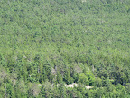 Sharkey, I'm so glad we brought our camera so that we can blog about this.  Just look at the amazing scenery!  Do you see any bald eagles flying around?