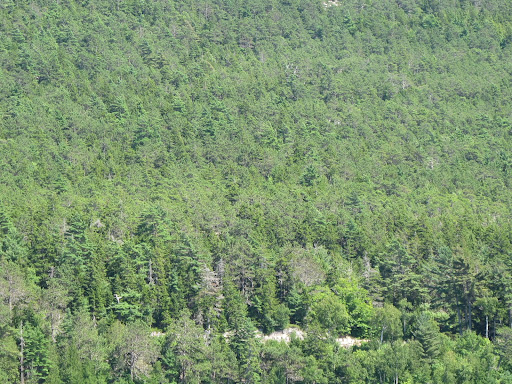 Sharkey, I'm so glad we brought our camera so that we can blog about this.  Just look at the amazing scenery!  Do you see any bald eagles flying around?