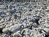 One awesome thing about that island is that the beach was covered in coral pieces, literally covered - very awesome! Madagascar6 - 073.jpg