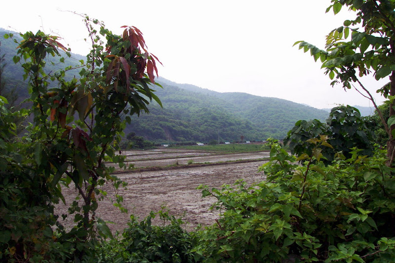 20060819_22_kenting_195.jpg