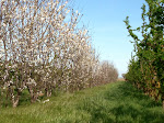 IMG_2221.JPG