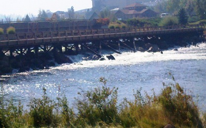 Colorado Street dam on the Deschutes in dowtown Bend colorado street dam