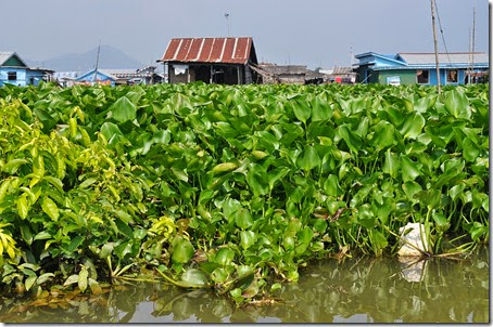 Cambodia Kampong Chhnang floating village 131025_0296