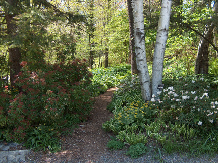 The entrance to the woodland at Stonecrop, photo courtesy of Stonecrop Gardens