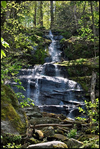 11b - 60 ft Fern Branch Falls