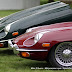 Motorcarsinc.com 1173.jpg