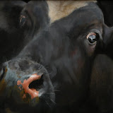 Paul Jansen - 