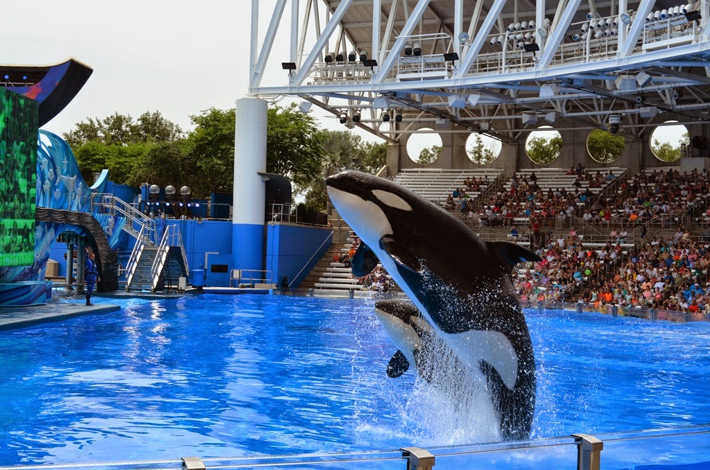 [DSC_8403%255B3%255D.jpg]