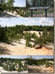 Nemours Pierre le Sault