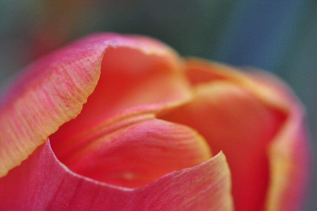 [DSC_98305.jpg]