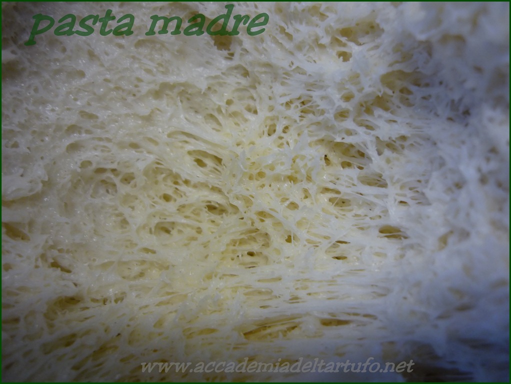 [pasta%2520madre.jpg]