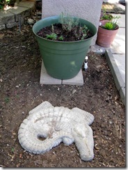 IMG_0010 IMG_0010