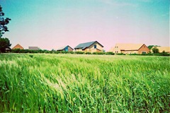 Summer-Barley-5---XPRO