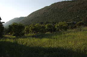 DSC_0006.jpg