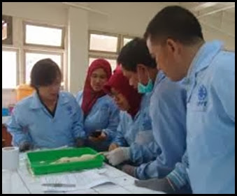 Uji Toksikologi Limbah B3 Uji Toksikologi Limbah B3