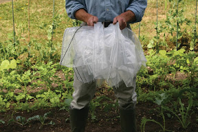 Easy Poly Tunnel - Accordian System