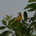 P1150876
