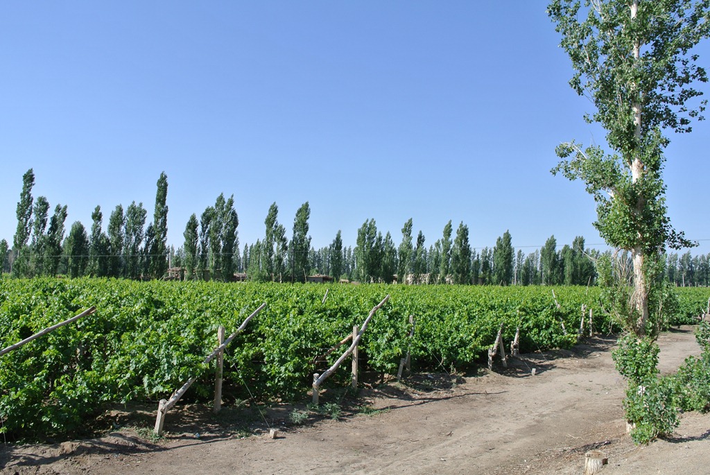 [DSC_4119%255B5%255D.jpg]