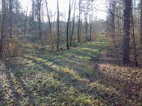 01172012899.jpg Photo 01172012899.jpg Photo