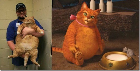 viral-picdump-pics-25