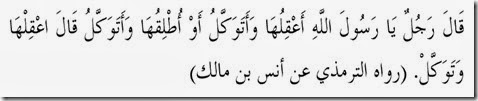 tawakal04 tawakal04