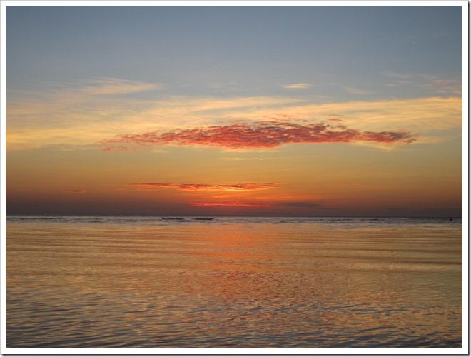 IMG_1645 IMG_1645