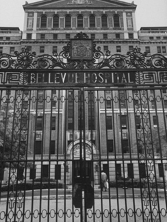 c0 The front gates of Belleview Hospital in New York City