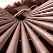 20081109_271 copy.jpg
