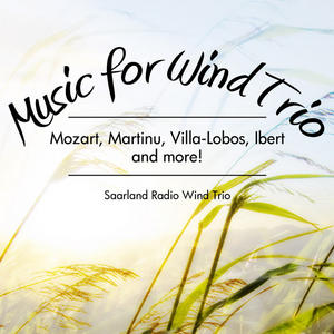windtrios-wind_instruments_music-2010-05-9-01-58-2010-05-9-01-58.jpg