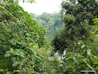 Sumpflandschaft, Bigodi