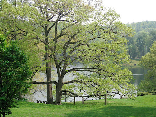 An example of how, despite the strong Chinese influence over Innisfree's design, it remains very much an American landscape garden.