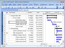ms_project.png