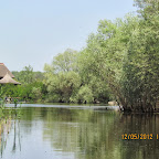 IMG_7695.JPG