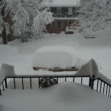 snowmaggedon